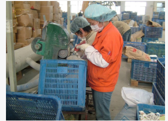 Melamine Crockery Pressing Machine