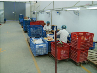 Melamine Dinnerware Compress Machine