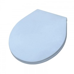 Toilet Seat Cover Mould