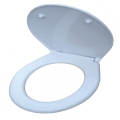 Toilet Seat Lid Cover Mould