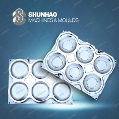 High Production 6Cavity Melamine Plate Mold With Matte Finish