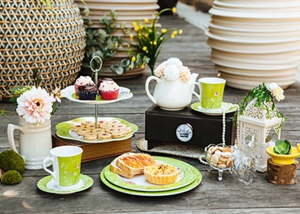 Melamine Foil Paper Dryer Machine From Shunhao